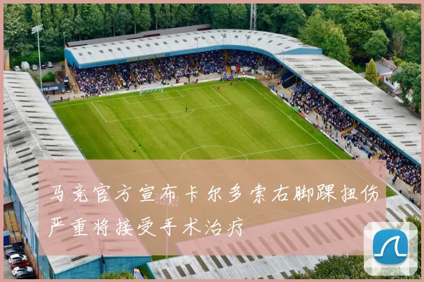 马竞官方宣布卡尔多索右脚踝扭伤严重将接受手术治疗